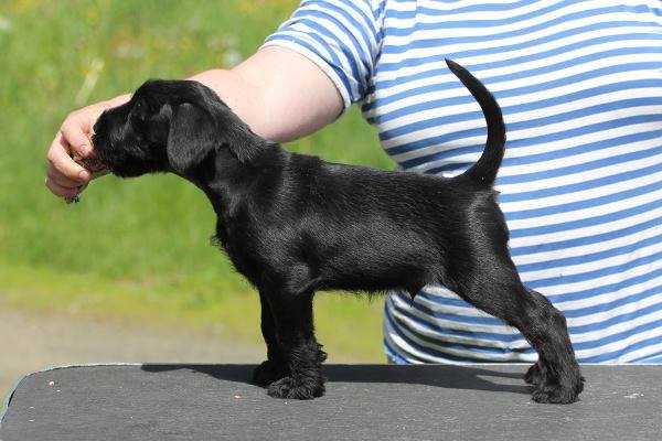 Tämän kuvan alt-attribuutti on tyhjä; Tiedoston nimi on x-pertti.jpg